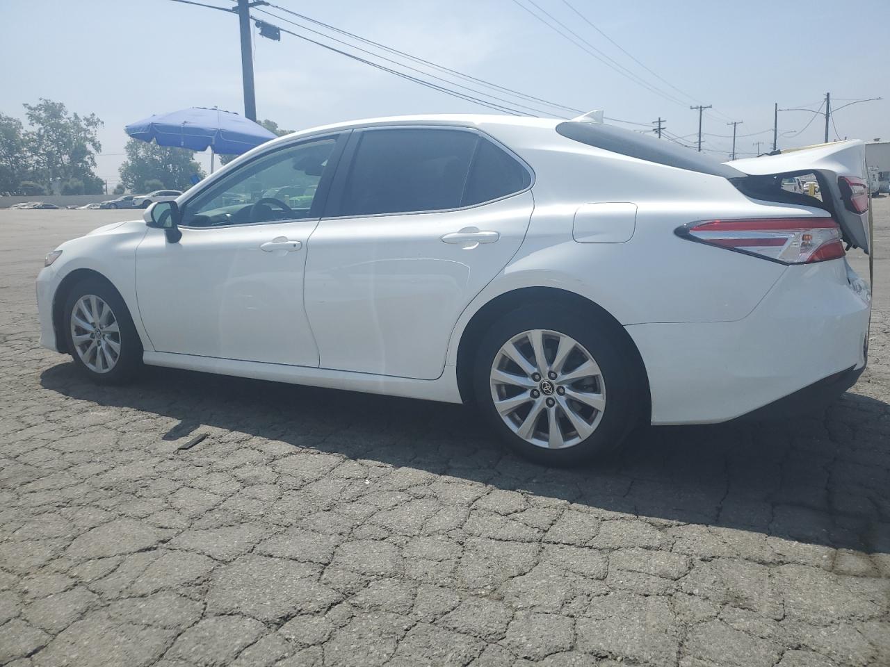 2020 Toyota Camry Le vin: 4T1C11AK8LU991294