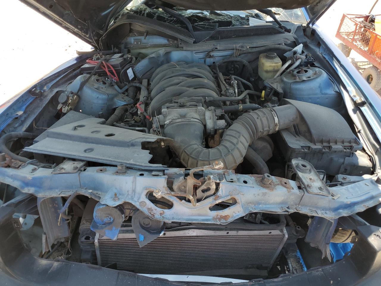 1ZVFT82H165218296 2006 Ford Mustang Gt