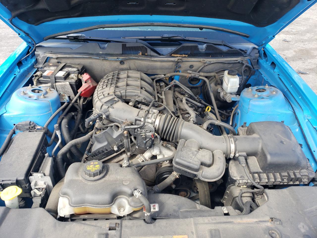 1ZVBP8AM8D5248636 2013 Ford Mustang