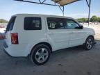 HONDA PILOT EXL photo