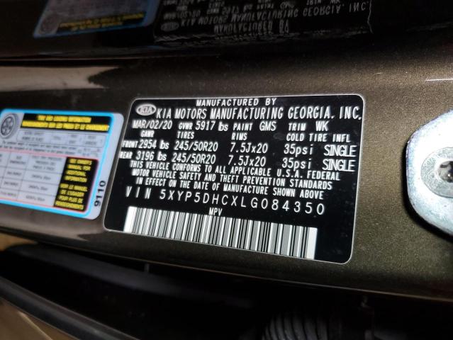 2020 Kia Telluride Sx VIN: 5XYP5DHCXLG084350 Lot: 58300354