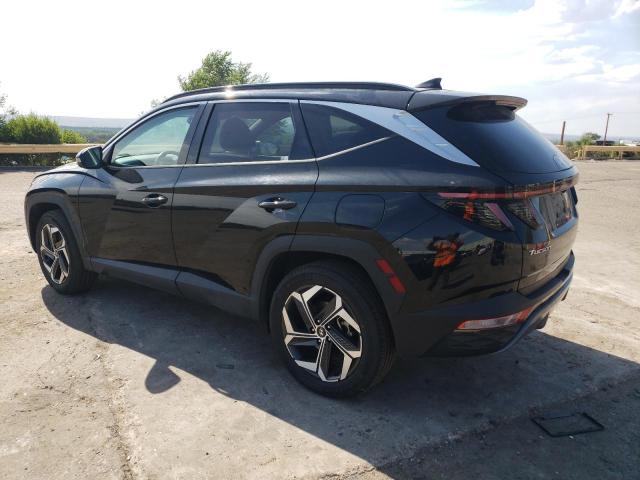 2023 Hyundai Tucson Limited VIN: 5NMJECAE7PH168116 Lot: 59016854