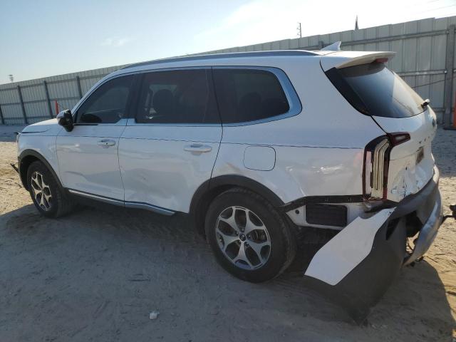 2020 Kia Telluride Ex VIN: 5XYP34HC9LG011251 Lot: 55905534