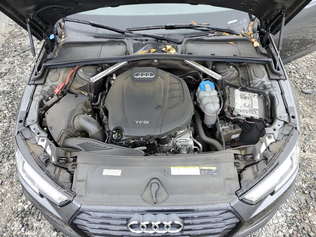 WAUENAF42KN007834 2019 Audi A4 Premium Plus