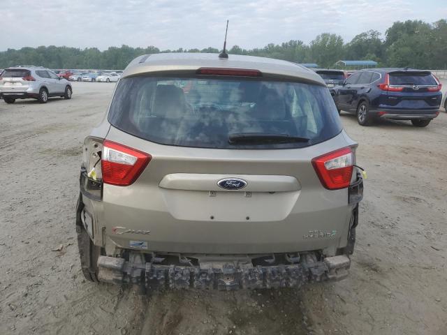 2015 Ford C-Max Sel VIN: 1FADP5BU3FL115313 Lot: 58490004