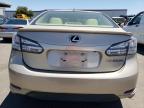 LEXUS HS 250H photo