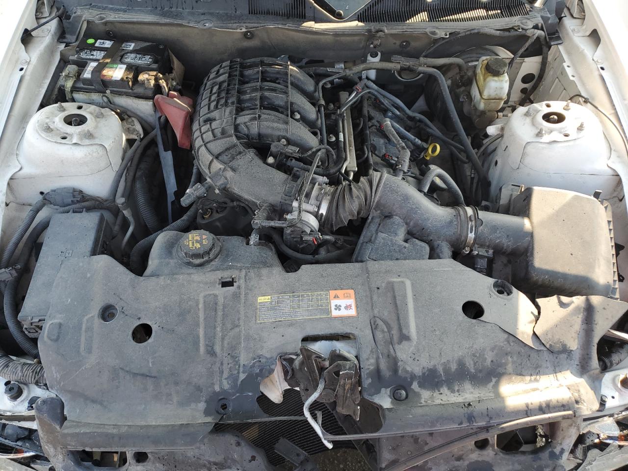 1ZVBP8AM3D5274805 2013 Ford Mustang