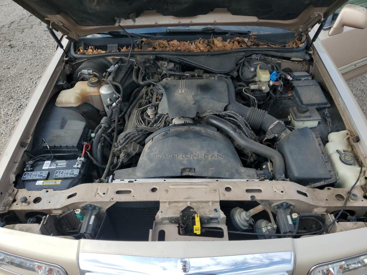 1LNLM81WXTY677108 1996 Lincoln Town Car Executive