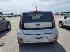 KIA SOUL + photo