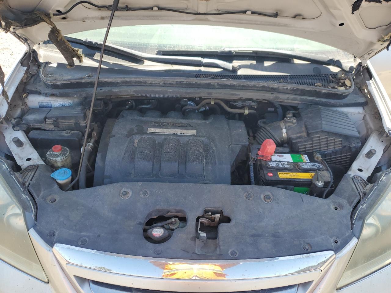 5FNRL38637B425782 2007 Honda Odyssey Exl