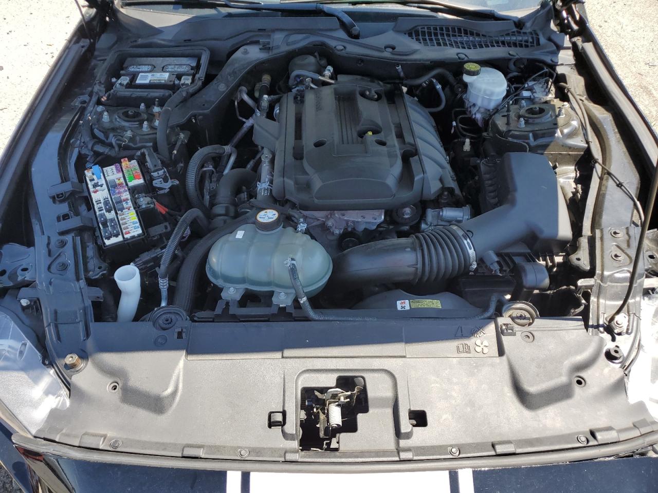 1FA6P8TH8L5129364 2020 Ford Mustang