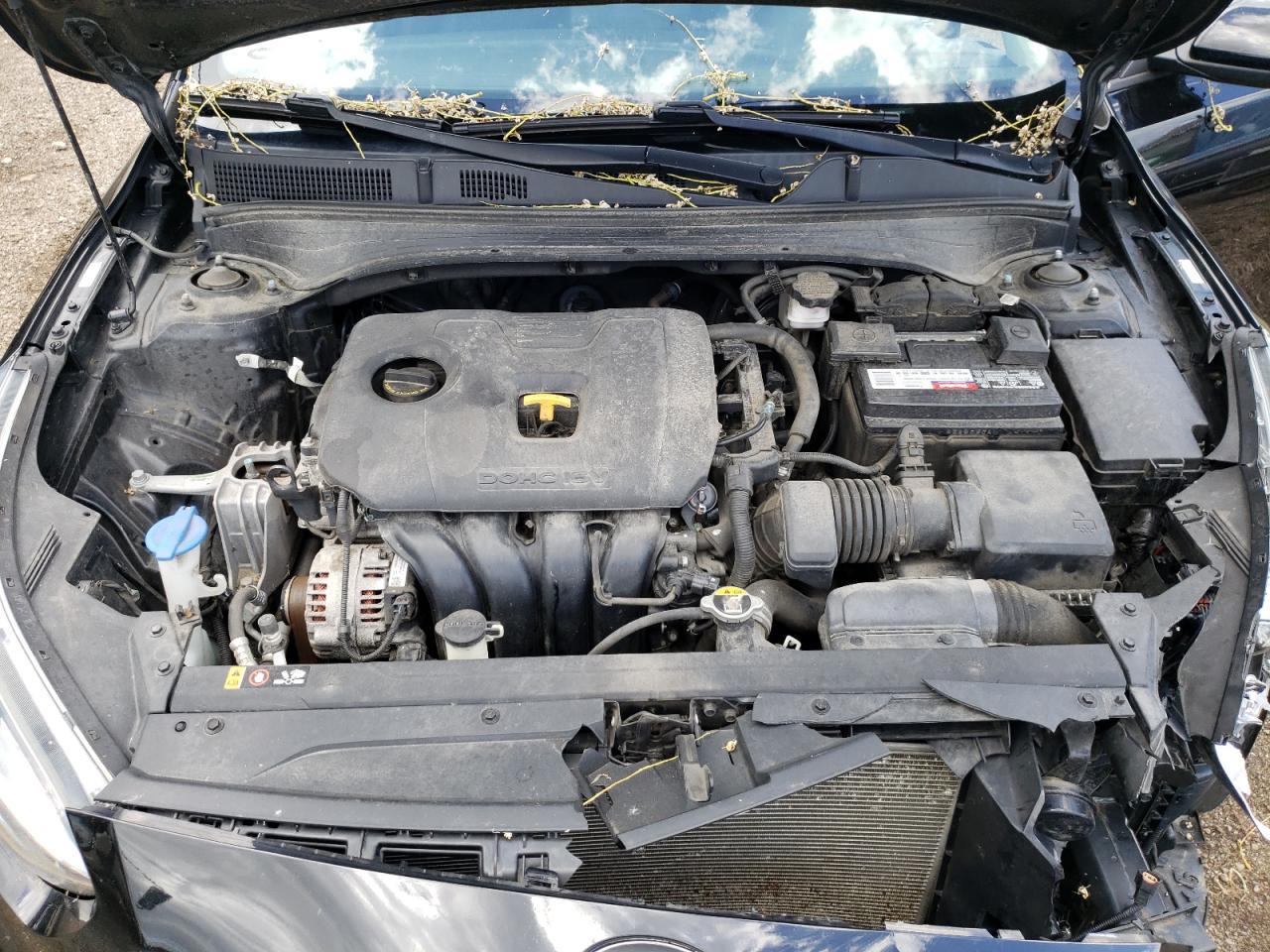 3KPF24AD7KE093073 2019 Kia Forte Fe