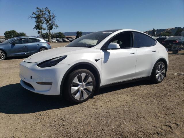 2022 Tesla Model Y VIN: 7SAYGAEE0NF517707 Lot: 61150304