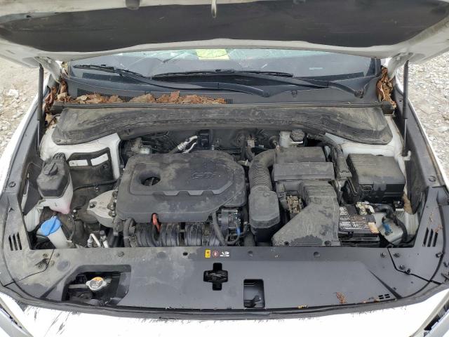 2020 Hyundai Santa Fe Sel VIN: 5NMS3CAD9LH301535 Lot: 61066174