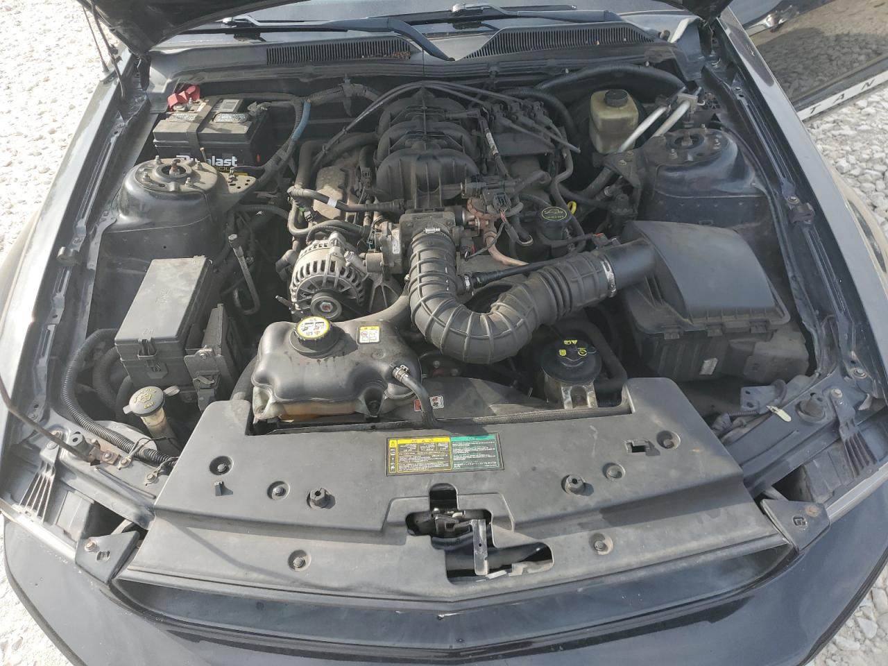 1ZVFT80N165255521 2006 Ford Mustang