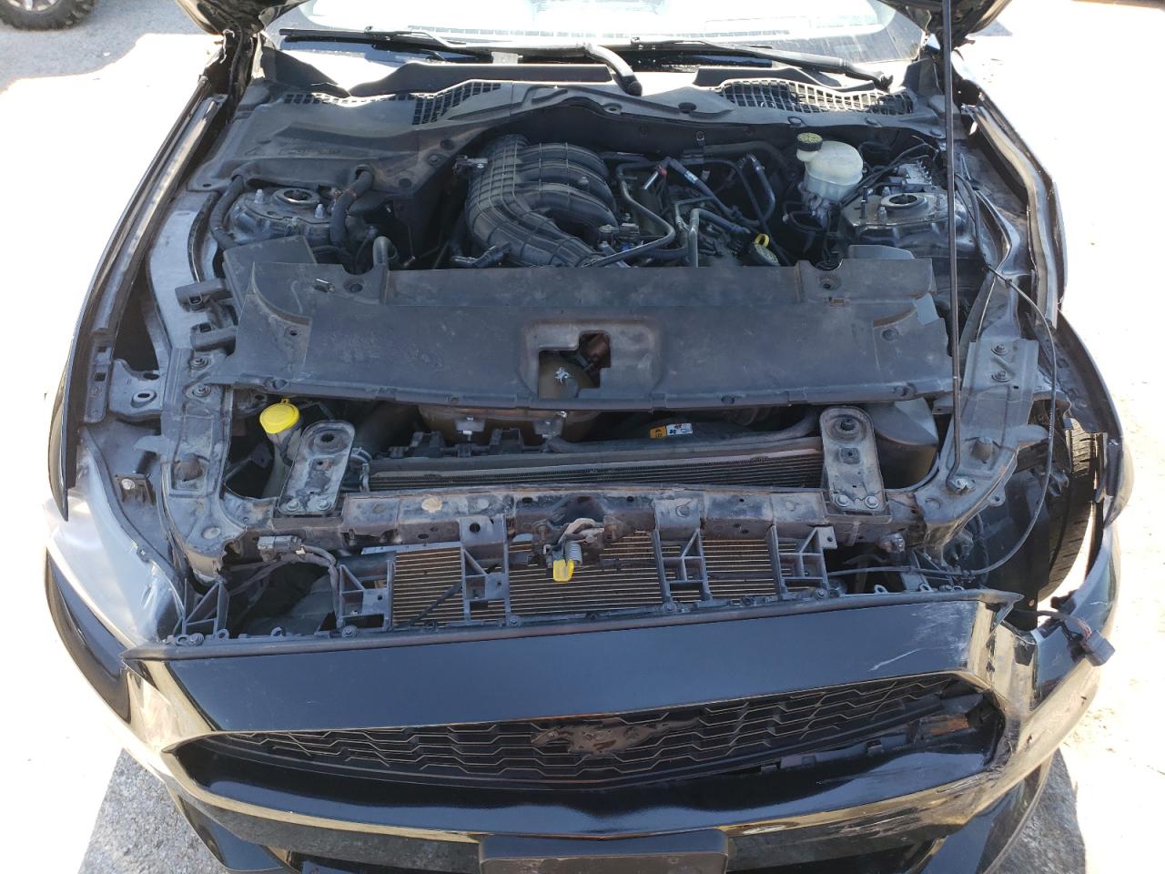 1FA6P8AM7F5412178 2015 Ford Mustang