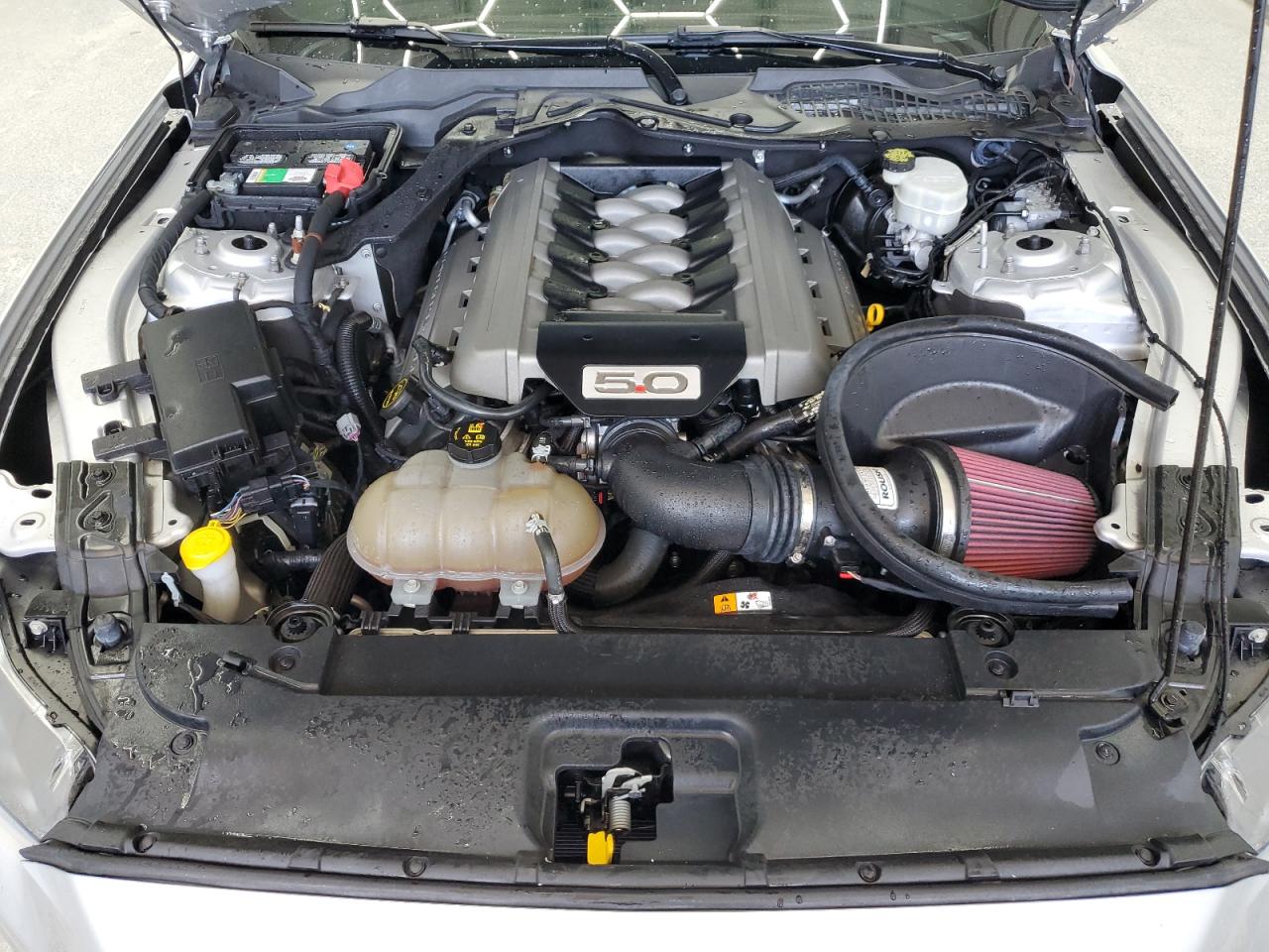 1FA6P8CF6G5263956 2016 Ford Mustang Gt