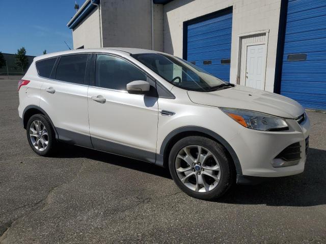 2013 Ford Escape Sel VIN: 1FMCU0HX5DUA55055 Lot: 58955174