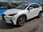 LEXUS NX 300H photo