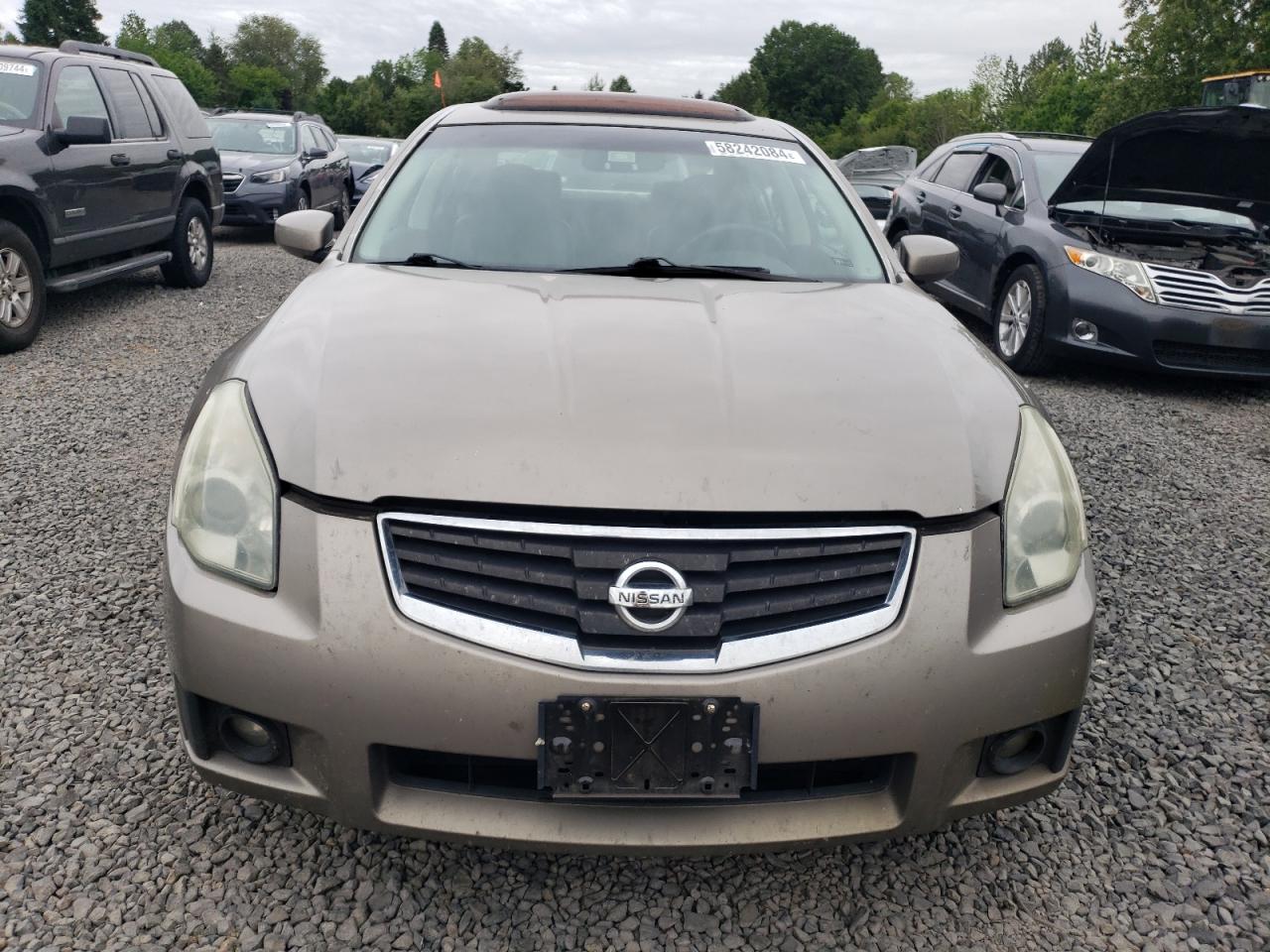 1N4BA41E38C831998 2008 Nissan Maxima Se