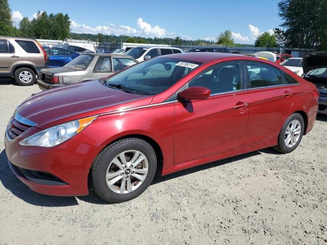 5NPEB4AC6EH869406 2014 Hyundai Sonata Gls