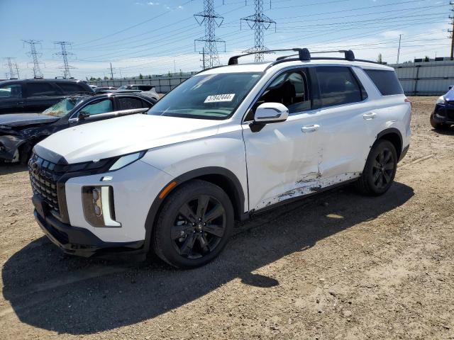 2023 Hyundai Palisade Xrt VIN: KM8R3DGE7PU490698 Lot: 57842444