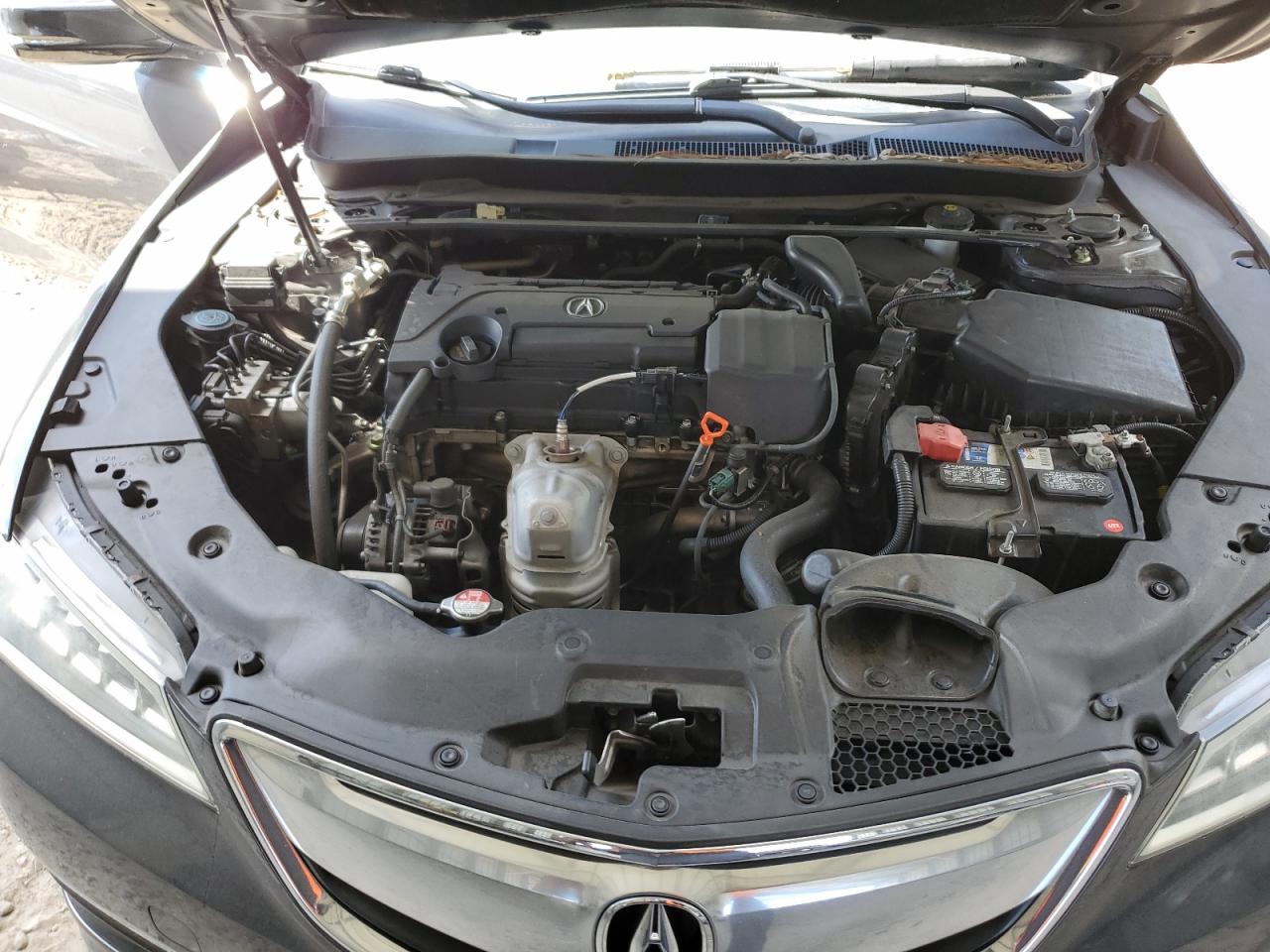 19UUB1F51GA011180 2016 Acura Tlx Tech