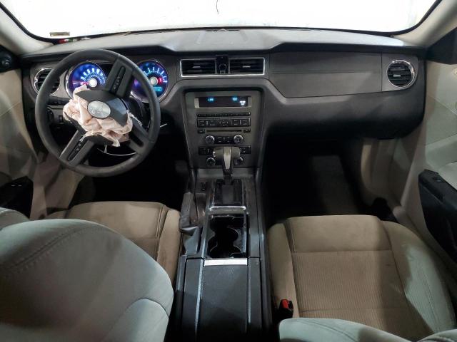 2011 Ford Mustang VIN: 1ZVBP8AM1B5132675 Lot: 58718774