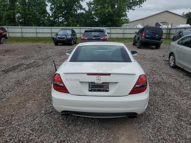 2010 Mercedes-Benz Slk 300 VIN: WDBWK5EA6AF229394 Lot: 58713244