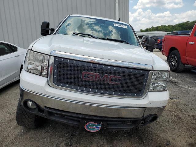 2008 GMC Sierra K1500 VIN: 1GTEK19J98Z102101 Lot: 57826254