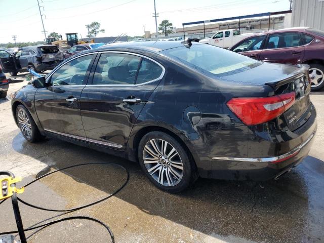 2014 Kia Cadenza Premium VIN: KNALN4D79E5146255 Lot: 57072264