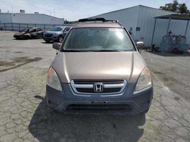 2004 Honda Cr-V Ex VIN: JHLRD78804C004376 Lot: 57248424