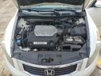 HONDA ACCORD EXL photo