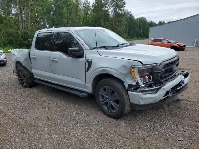 Vin: 1ftew1ep3pfa74228, lot: 61189894, ford f-150 supercrew 20234