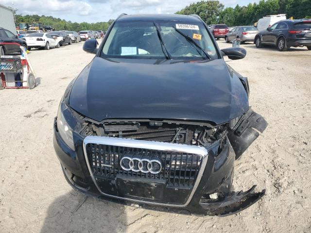 2009 Audi Q5 3.2 VIN: WA1KK78R49A016489 Lot: 59396124