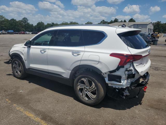 2023 HYUNDAI SANTA FE S - 5NMS2DAJ1PH609805