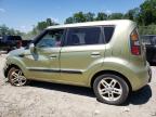 KIA SOUL + photo