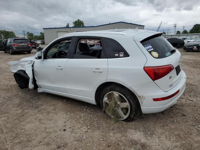 2012 Audi Q5 Premium Plus VIN: WA1LFAFP7CA119260 Lot: 58343084