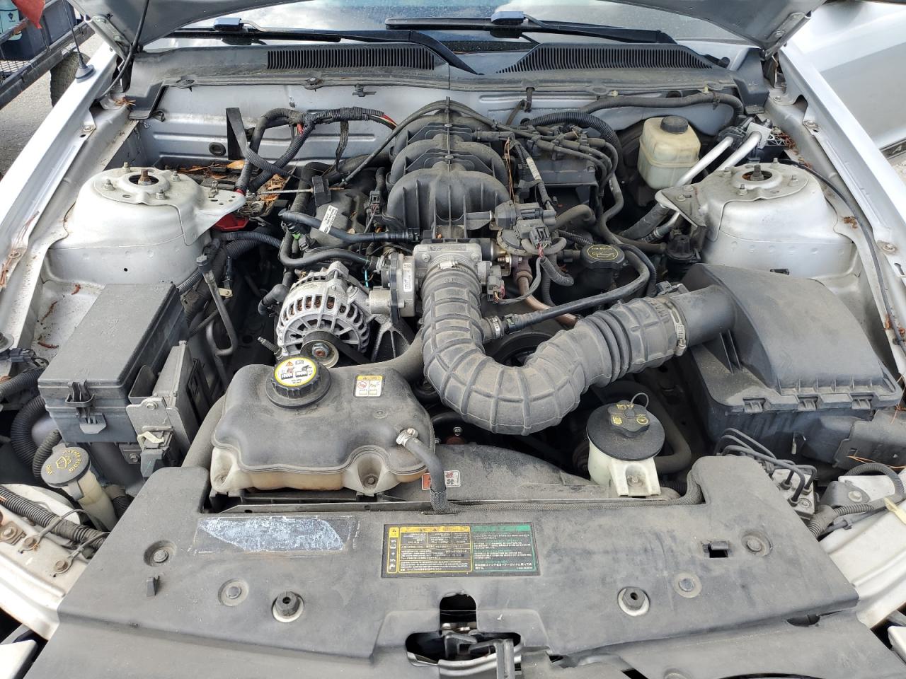 1ZVHT84N465220393 2006 Ford Mustang