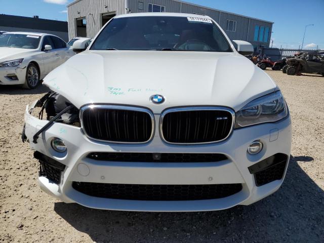 2016 BMW X6 M VIN: 5YMKW8C53G0R43501 Lot: 58137044