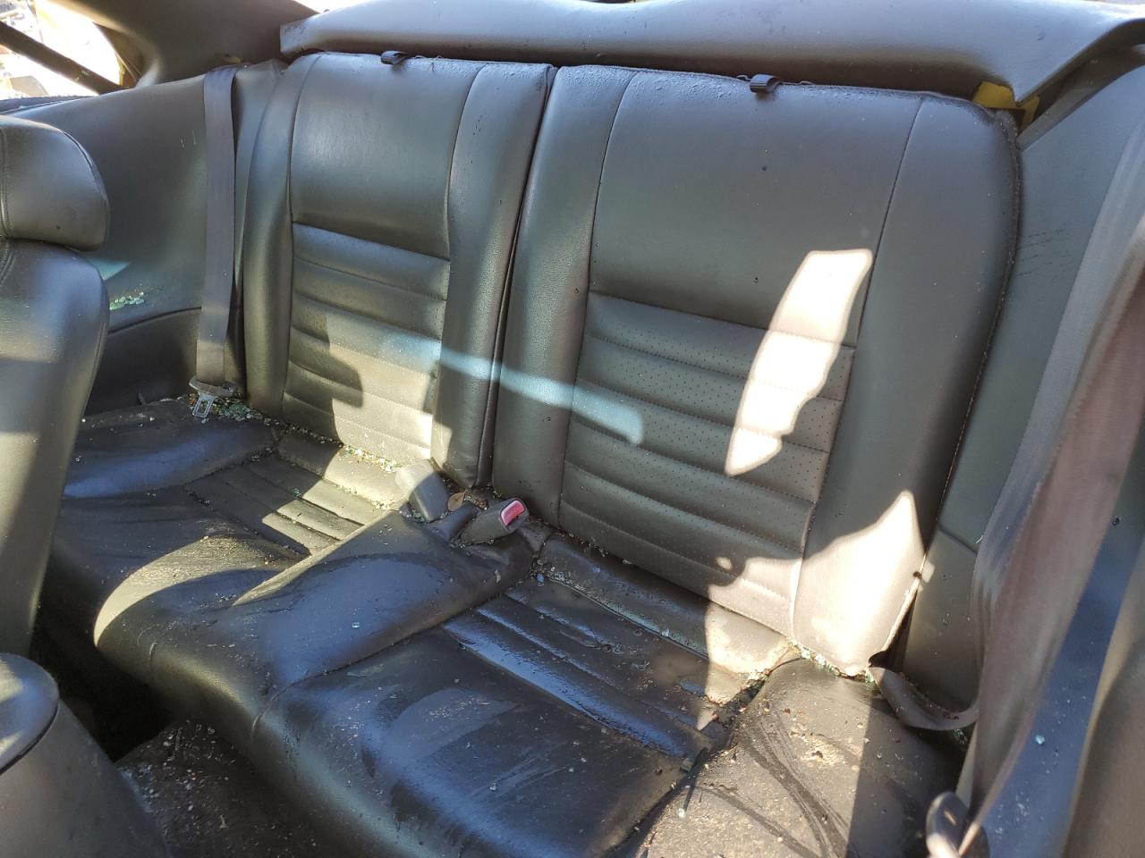 1FAFP42X81F151230 2001 Ford Mustang Gt