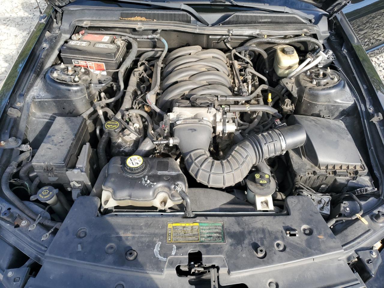 1ZVHT82H065192671 2006 Ford Mustang Gt