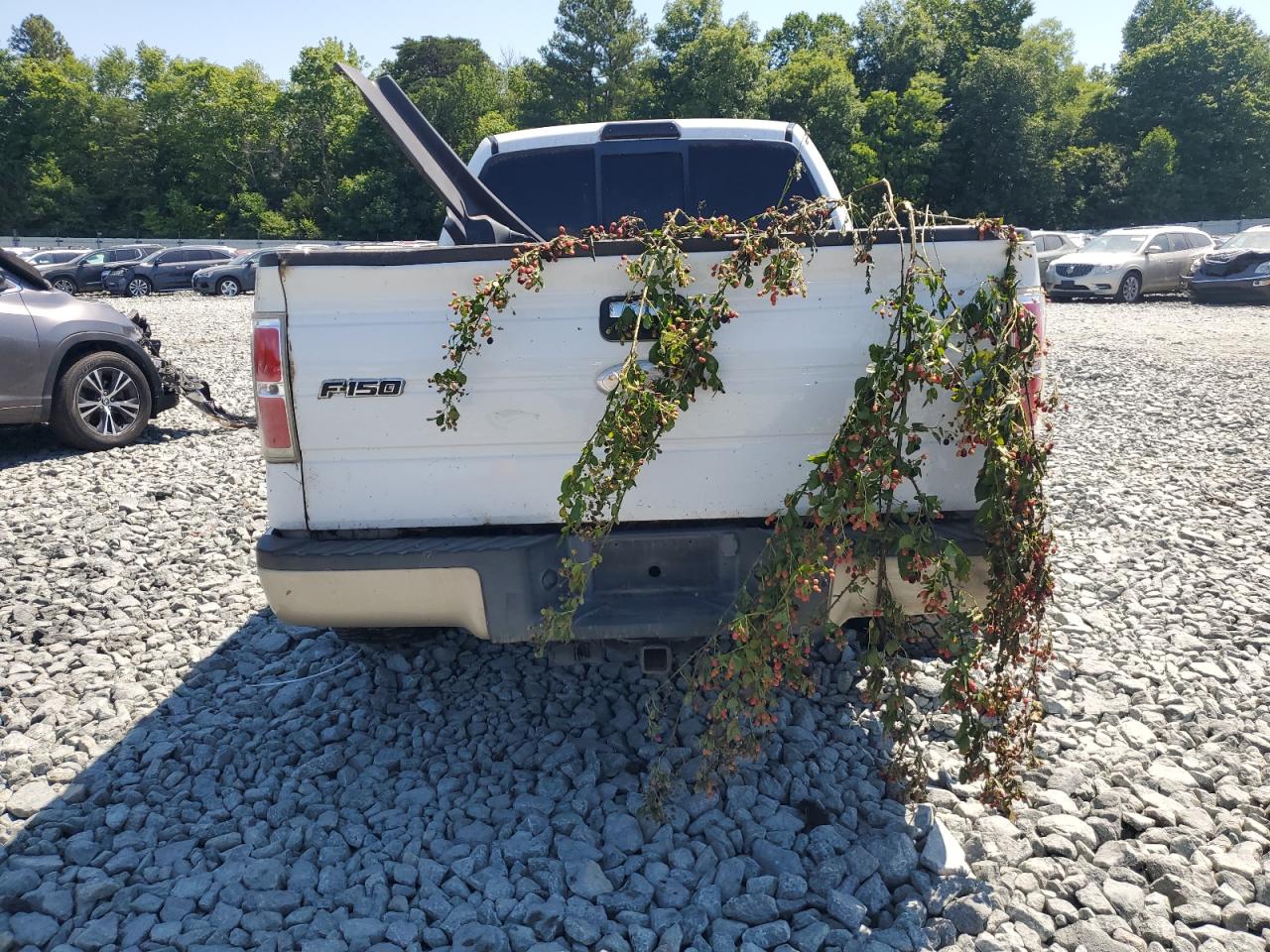 1FTFX1EV5AFA70866 2010 Ford F150 Super Cab