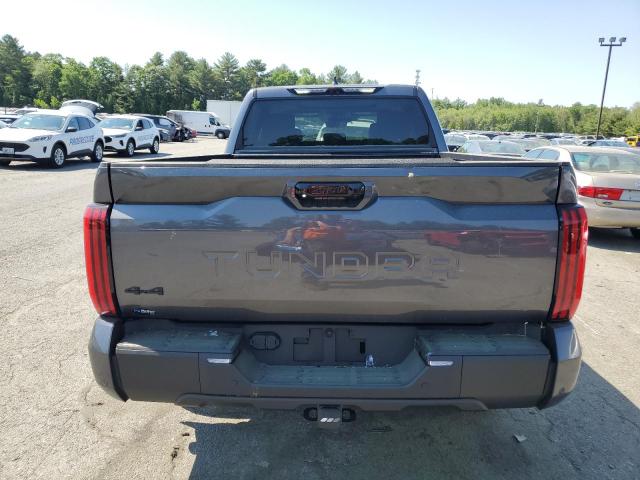 2024 Toyota Tundra Crewmax Platinum VIN: 5TFWC5EC6RX006813 Lot: 57045754