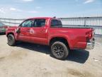 TOYOTA TACOMA DOU photo