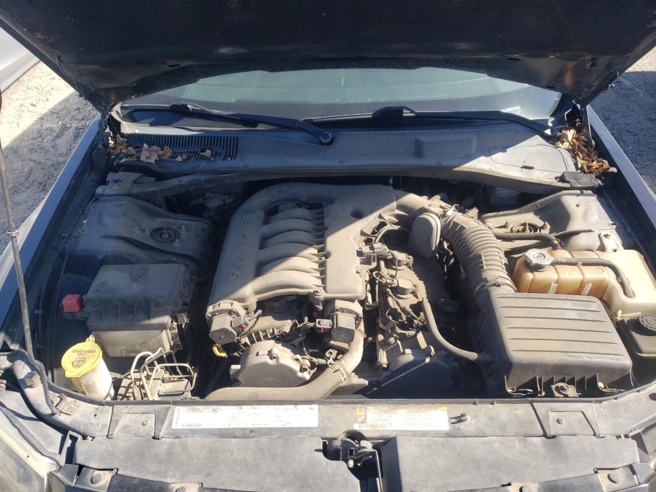 2D4FV47V87H893953 2007 Dodge Magnum Sxt