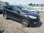 FORD ESCAPE SEL photo