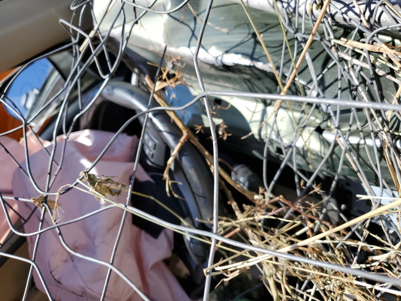 JHLRE38758C051549 2008 Honda Cr-V Exl