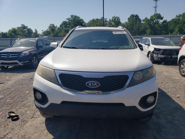 2011 Kia Sorento Base VIN: 5XYKT3A18BG015528 Lot: 59751544