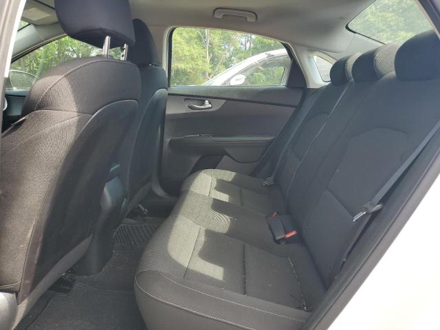 2019 Kia Forte Fe VIN: 3KPF24AD6KE064891 Lot: 57303664